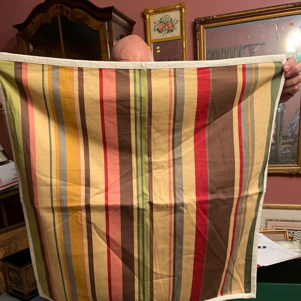 Pottery Barn pillow shams! (1 pair)